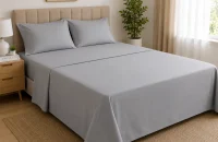 plane bedsheet 2